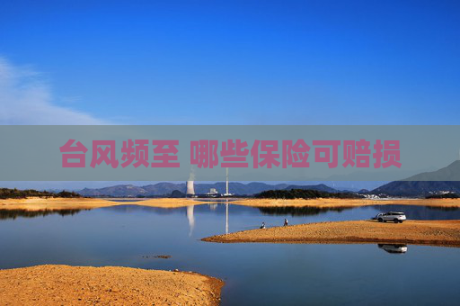 台风频至 哪些保险可赔损
