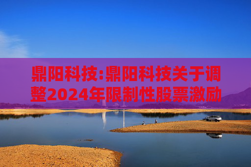 鼎阳科技:鼎阳科技关于调整2024年限制性股票激励计划相关事项的公告