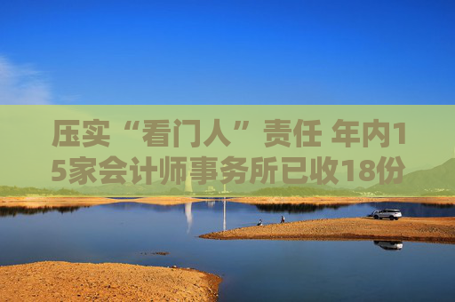 压实“看门人”责任 年内15家会计师事务所已收18份罚单