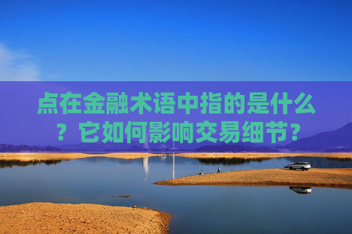 点在金融术语中指的是什么？它如何影响交易细节？