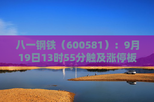 八一钢铁（600581）：9月19日13时55分触及涨停板