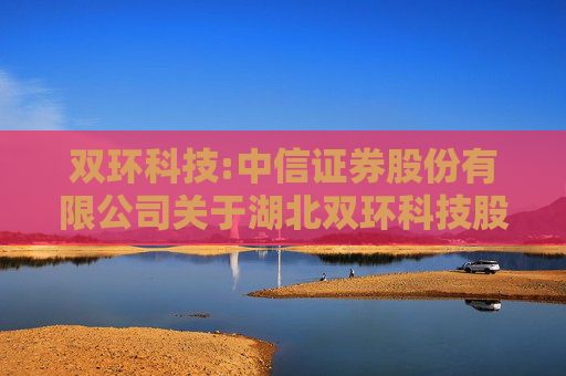 双环科技:中信证券股份有限公司关于湖北双环科技股份有限公司2023年度向特定对象发行A股股票之发行保荐书