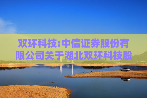 双环科技:中信证券股份有限公司关于湖北双环科技股份有限公司2023年度向特定对象发行A股股票之上市保荐书