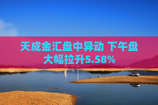 天成金汇盘中异动 下午盘大幅拉升5.58%