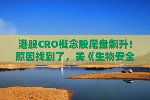 港股CRO概念股尾盘飙升！原因找到了，美《生物安全法》未被纳入美参议院《2025财年国防授权法案》