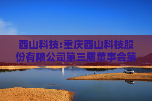 西山科技:重庆西山科技股份有限公司第三届董事会第二十九次会议决议公告