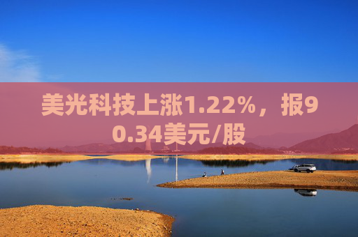 美光科技上涨1.22%，报90.34美元/股