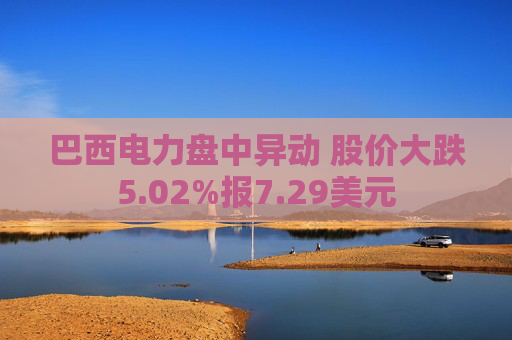 巴西电力盘中异动 股价大跌5.02%报7.29美元