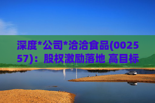 深度*公司*洽洽食品(002557)：股权激励落地 高目标彰显未来发展信心