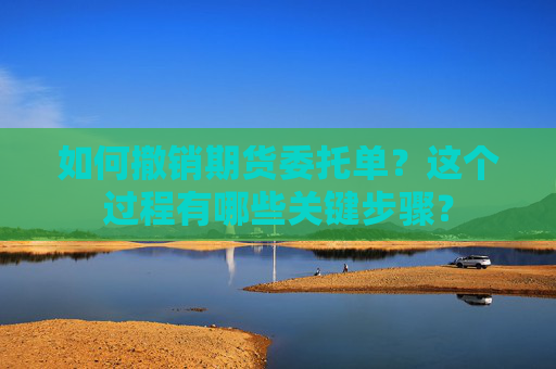 如何撤销期货委托单？这个过程有哪些关键步骤？