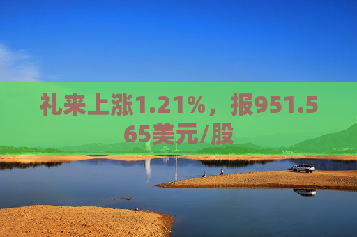 礼来上涨1.21%，报951.565美元/股