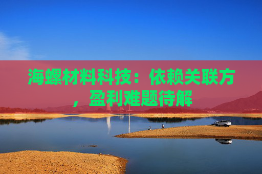 海螺材料科技：依赖关联方，盈利难题待解