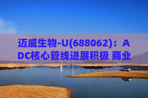 迈威生物-U(688062)：ADC核心管线进展积极 商业化稳步推进