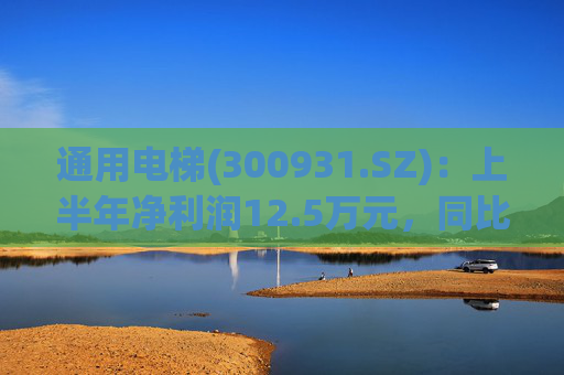 通用电梯(300931.SZ)：上半年净利润12.5万元，同比下降98.5%