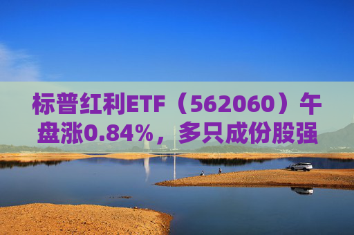 标普红利ETF（562060）午盘涨0.84%，多只成份股强劲上涨！机构：坚守真红利和优质成长板块