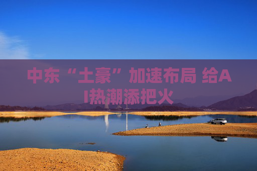 中东“土豪”加速布局 给AI热潮添把火