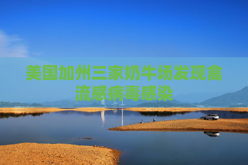 美国加州三家奶牛场发现禽流感病毒感染