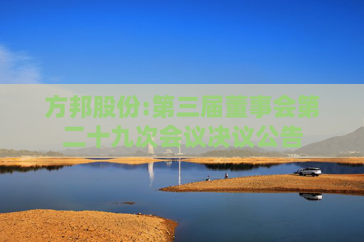 方邦股份:第三届董事会第二十九次会议决议公告