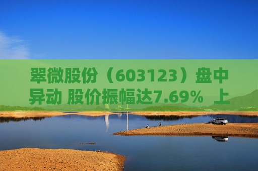 翠微股份（603123）盘中异动 股价振幅达7.69%  上涨7.24%（09-24）
