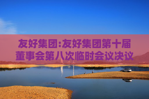 友好集团:友好集团第十届董事会第八次临时会议决议公告