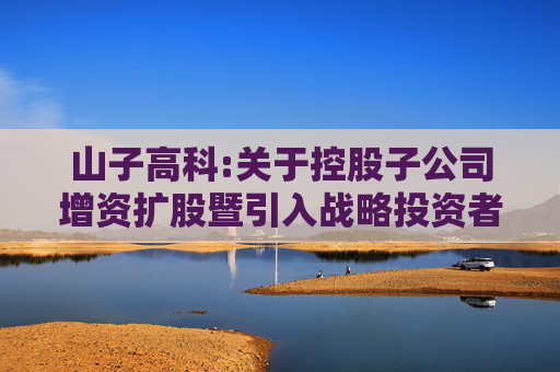 山子高科:关于控股子公司增资扩股暨引入战略投资者的公告