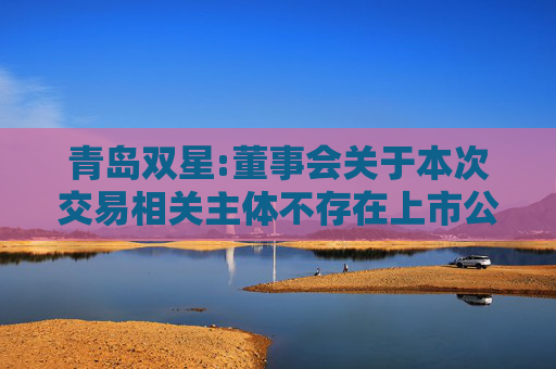 青岛双星:董事会关于本次交易相关主体不存在上市公司监管指引第7号――上市公司重大资产重组相关股票异常交易监管第十二条规定的不得参与任何上市公司重大资产重组情形的说明