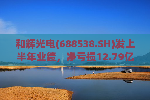 和辉光电(688538.SH)发上半年业绩，净亏损12.79亿元