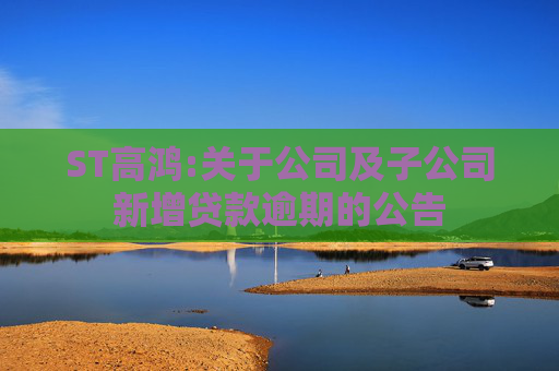 ST高鸿:关于公司及子公司新增贷款逾期的公告