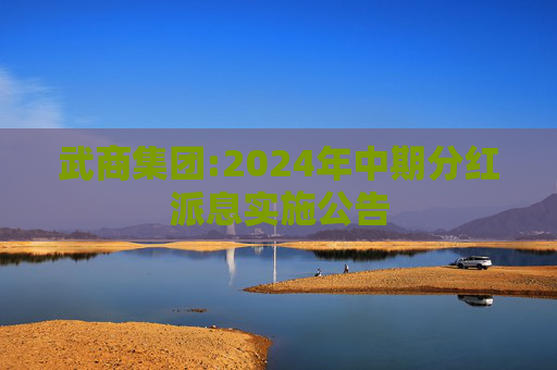 武商集团:2024年中期分红派息实施公告