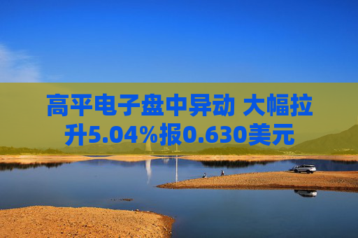高平电子盘中异动 大幅拉升5.04%报0.630美元