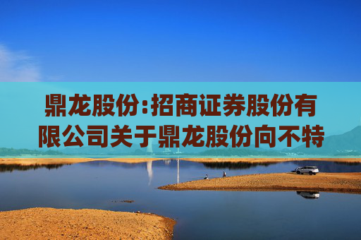鼎龙股份:招商证券股份有限公司关于鼎龙股份向不特定对象发行可转债之上市保荐书（更新版)