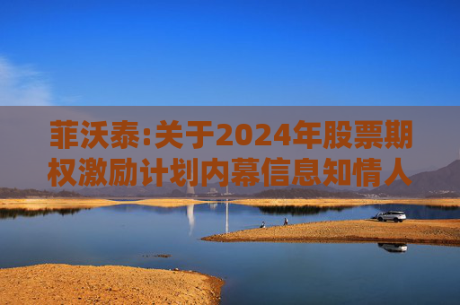 菲沃泰:关于2024年股票期权激励计划内幕信息知情人及激励对象买卖公司股票情况的自查报告