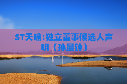 ST天喻:独立董事候选人声明（孙晨钟）