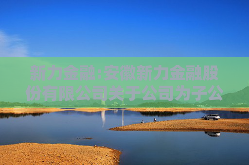 新力金融:安徽新力金融股份有限公司关于公司为子公司提供担保的公告