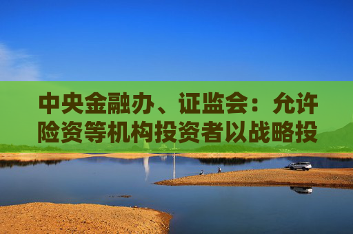 中央金融办、证监会：允许险资等机构投资者以战略投资者身份参与上市公司定增