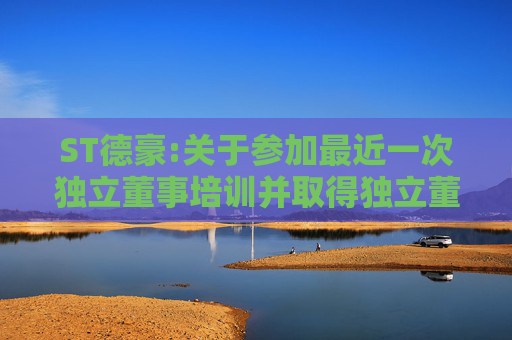 ST德豪:关于参加最近一次独立董事培训并取得独立董事资格证书的书面承诺