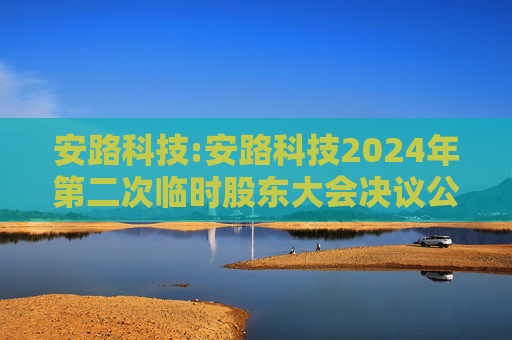 安路科技:安路科技2024年第二次临时股东大会决议公告