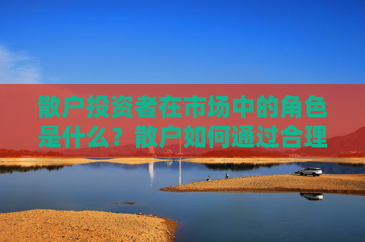 散户投资者在市场中的角色是什么？散户如何通过合理投资策略提高决策？
