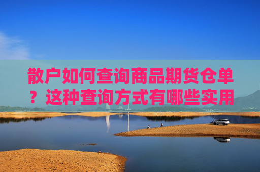 散户如何查询商品期货仓单？这种查询方式有哪些实用技巧？