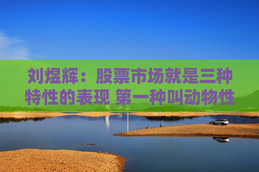 刘煜辉：股票市场就是三种特性的表现 第一种叫动物性
