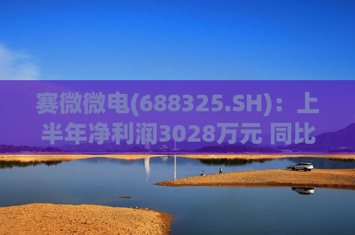 赛微微电(688325.SH)：上半年净利润3028万元 同比增加567.03%