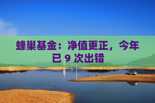 蜂巢基金：净值更正，今年已 9 次出错