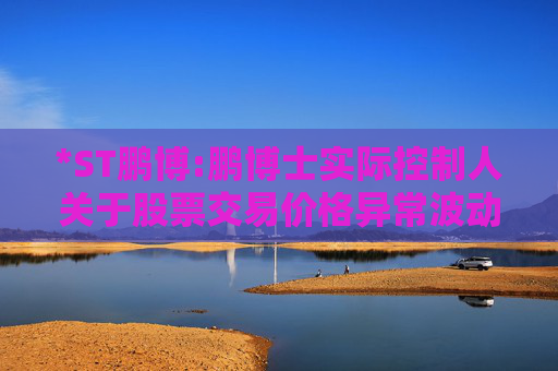 *ST鹏博:鹏博士实际控制人关于股票交易价格异常波动的问询函的回复