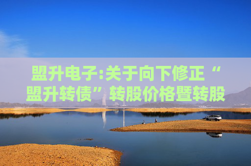 盟升电子:关于向下修正“盟升转债”转股价格暨转股停牌的公告