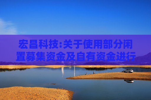 宏昌科技:关于使用部分闲置募集资金及自有资金进行现金管理的进展公告