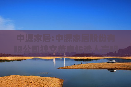 中源家居:中源家居股份有限公司独立董事候选人声明（计望许）(2)