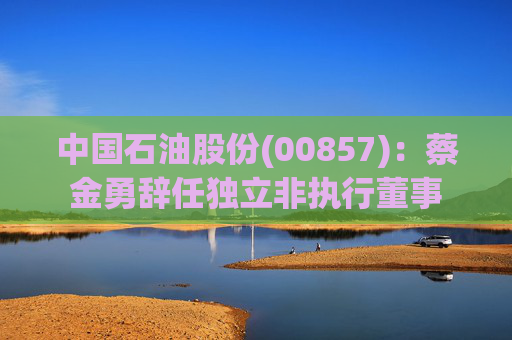 中国石油股份(00857):蔡金勇辞任独立非执行董事