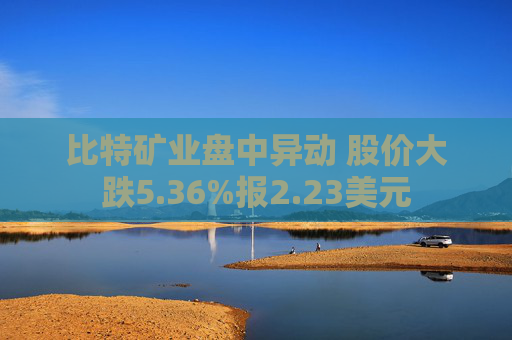 比特矿业盘中异动 股价大跌5.36%报2.23美元