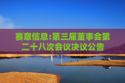 赛意信息:第三届董事会第二十八次会议决议公告