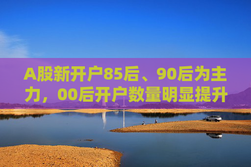 A股新开户85后、90后为主力，00后开户数量明显提升